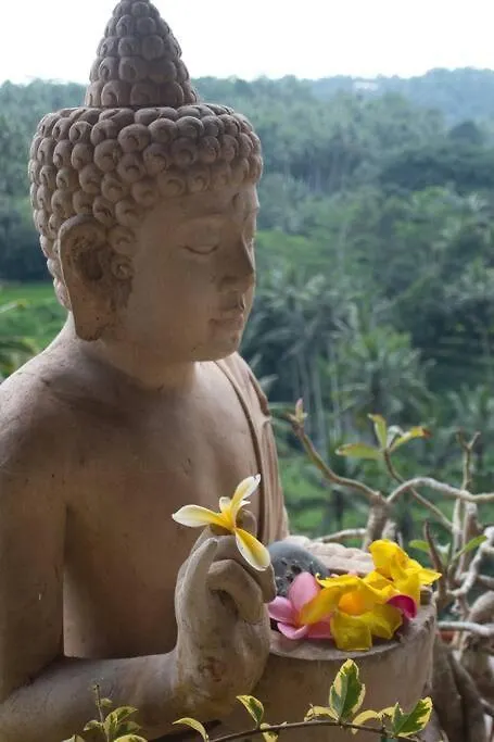 Heaven View 6 A Ubud (Bali)